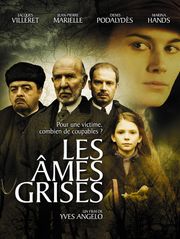 Les âmes grises