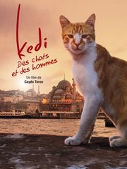 Kedi : des chats et des hommes