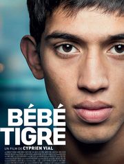 Bébé Tigre