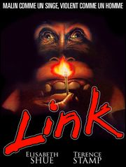 Link