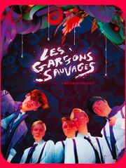 Les garçons sauvages