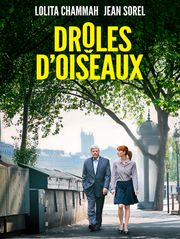Drôles d'oiseaux