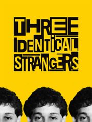 Three Identical Strangers