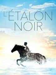 L'étalon noir