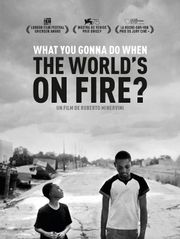 What You Gonna Do When the World's on Fire ?