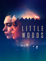 Little Woods