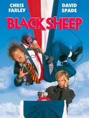 Black Sheep