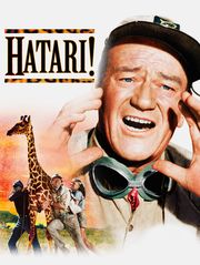 Hatari !