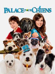 Palace pour chiens