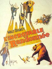 L'incroyable randonnée