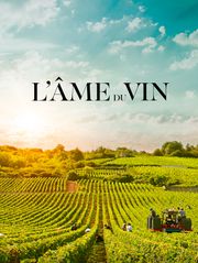L'âme du vin