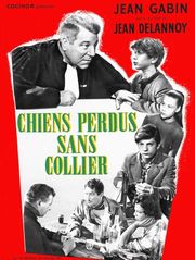 Chiens perdus sans collier