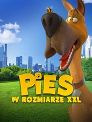 Pies w rozmiarze XXL