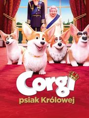 Corgi, psiak królowej
