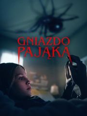Gniazdo pająka 