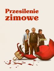 Przesilenie zimowe