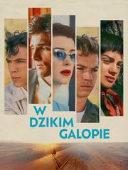 W dzikim galopie