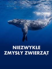 Niezwykłe zmysły zwierząt