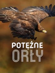 Potężne orły