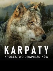 Karpaty. Królestwo drapieżników