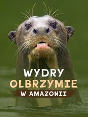 Wydry olbrzymie w Amazonii