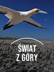Świat z góry