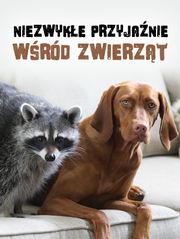 Niezwykłe przyjaźnie wśród zwierząt