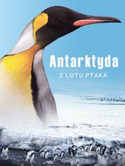 Antarktyda z lotu ptaka