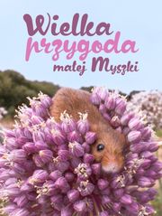 Wielka przygoda małej myszki
