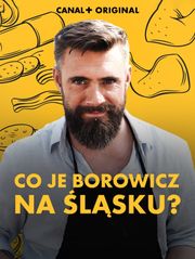 Co je Borowicz na Śląsku?
