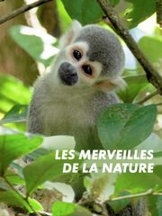 Merveilles de la nature