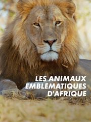 Les animaux emblématiques d'Afrique