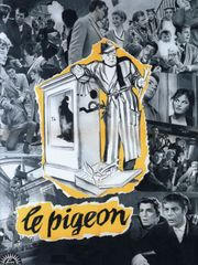 Le pigeon