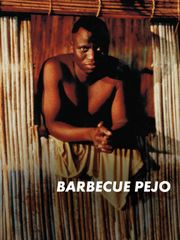 Barbecue-Pejo