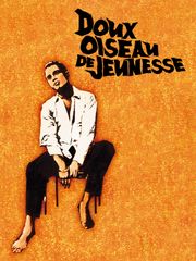 Doux oiseau de jeunesse