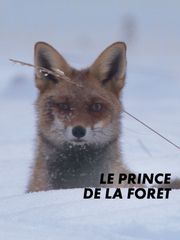 Le prince de la forêt