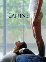 Canine