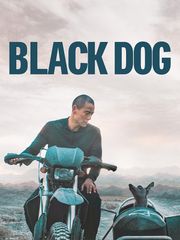 Black Dog