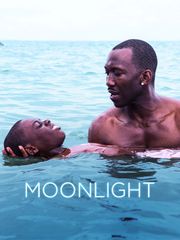 Moonlight