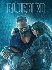 Bluebird