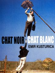 Chat noir, chat blanc