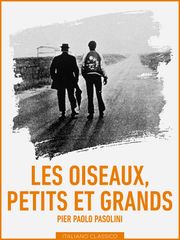 Des oiseaux petits et grands