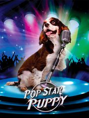 Pop Star Puppy