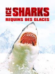Ice Sharks : requins des glaces