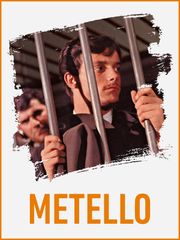 Metello