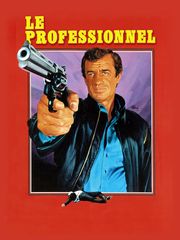 Le professionnel