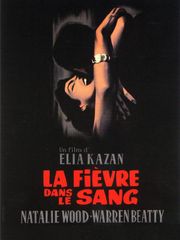 La fièvre dans le sang