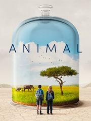 Animal