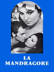 La mandragore
