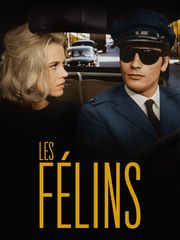 Les félins